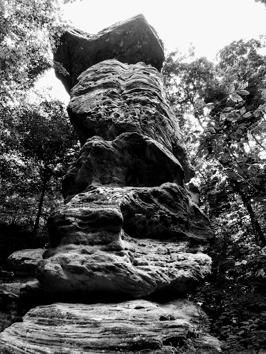 Nature Preserve «Jug Rock Nature Preserve», reviews and photos, Albright Ln, Shoals, IN 47581, USA