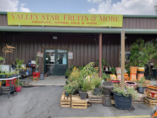 Valley Star Fruits & More
