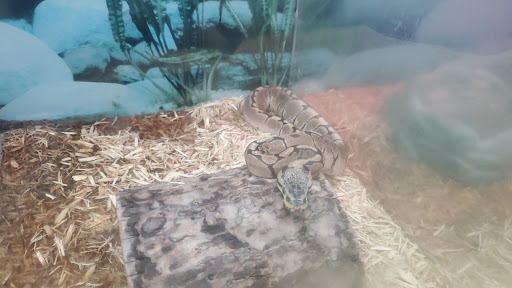 Pet Store «Cody PET DEPOT», reviews and photos, 556 Yellowstone Ave, Cody, WY 82414, USA