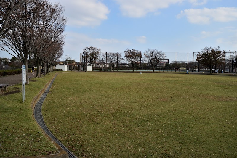 東俣野中央公園 空の広場（草地広場）