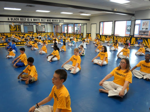 Tiger Martial Arts Academy