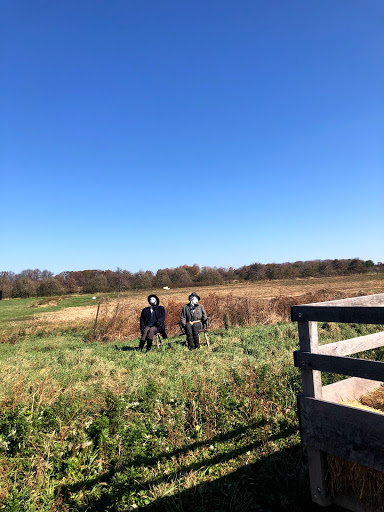 Produce Market «Solly Brothers», reviews and photos, 707 Almshouse Rd, Warminster, PA 18974, USA