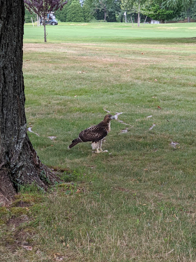 Golf Club «Long Meadow Golf Club», reviews and photos, 165 Havilah St, Lowell, MA 01852, USA