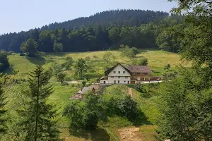 Paradise in the Black Forest image