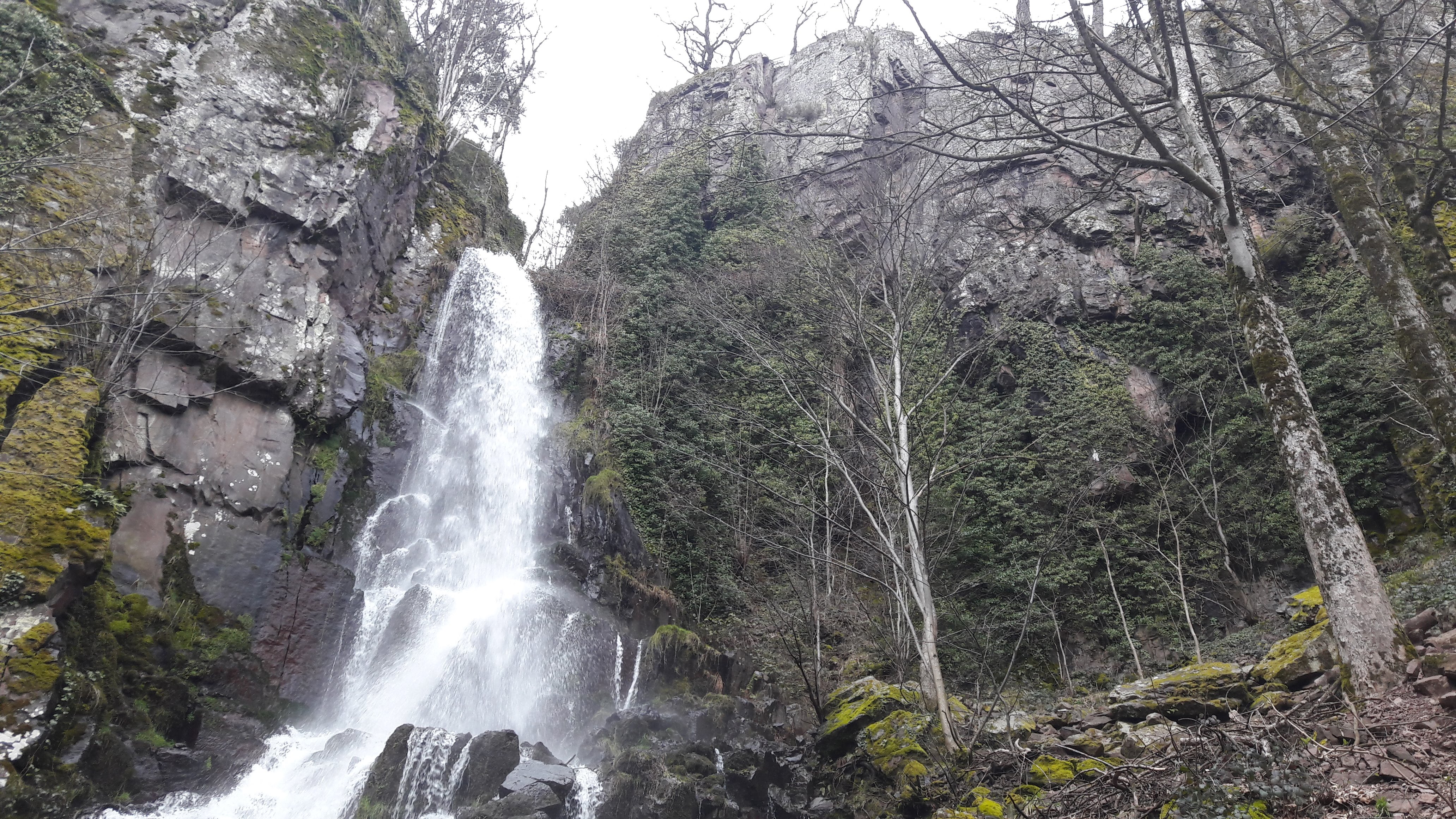Photo n° 2 de l'avis de Marc.r fait le 09/03/2020 à 15:45