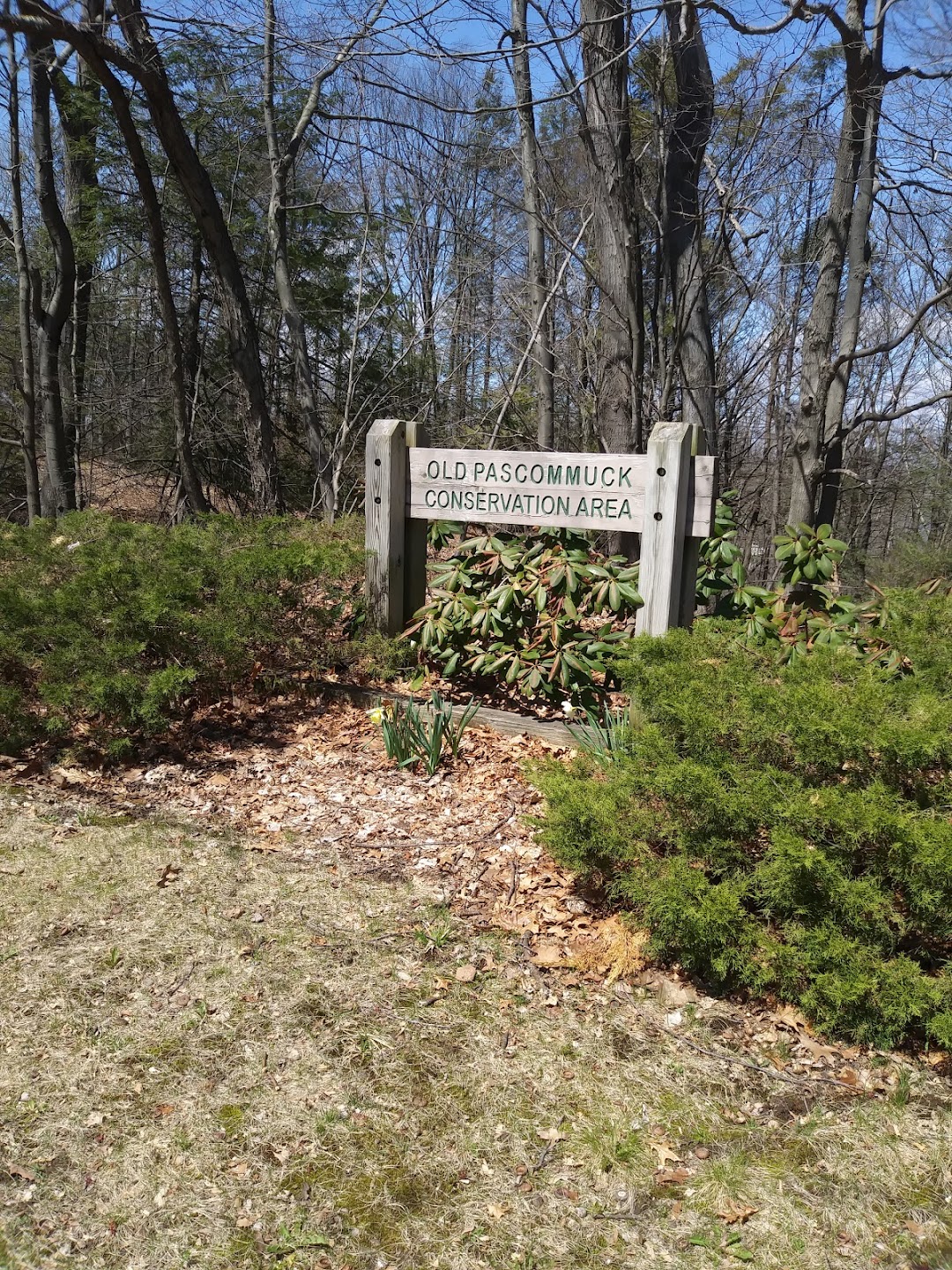 Old Pascommuck Conservation Area