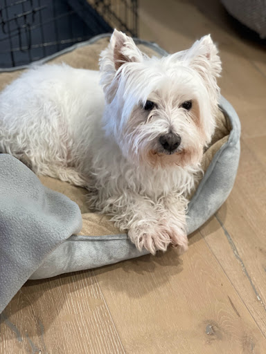 Insurance Agency «Mahler Nunez - State Farm Insurance Agent», reviews and photos