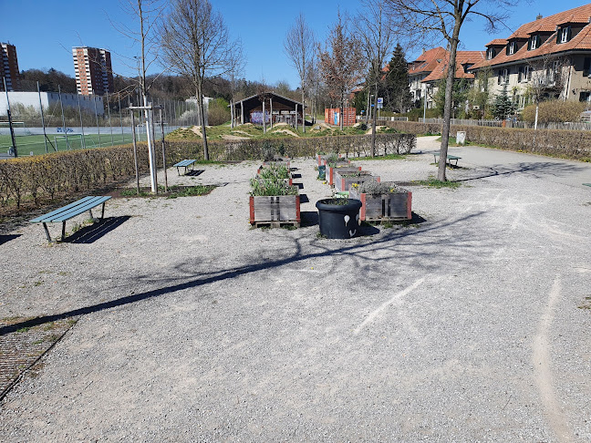 Rezensionen über Parkanlage in Bern - Sportstätte