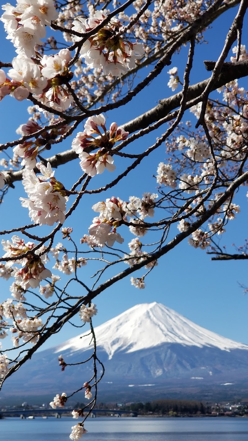 河口湖円形ホール 山梨県富士河口湖町河口 円形劇場 グルコミ