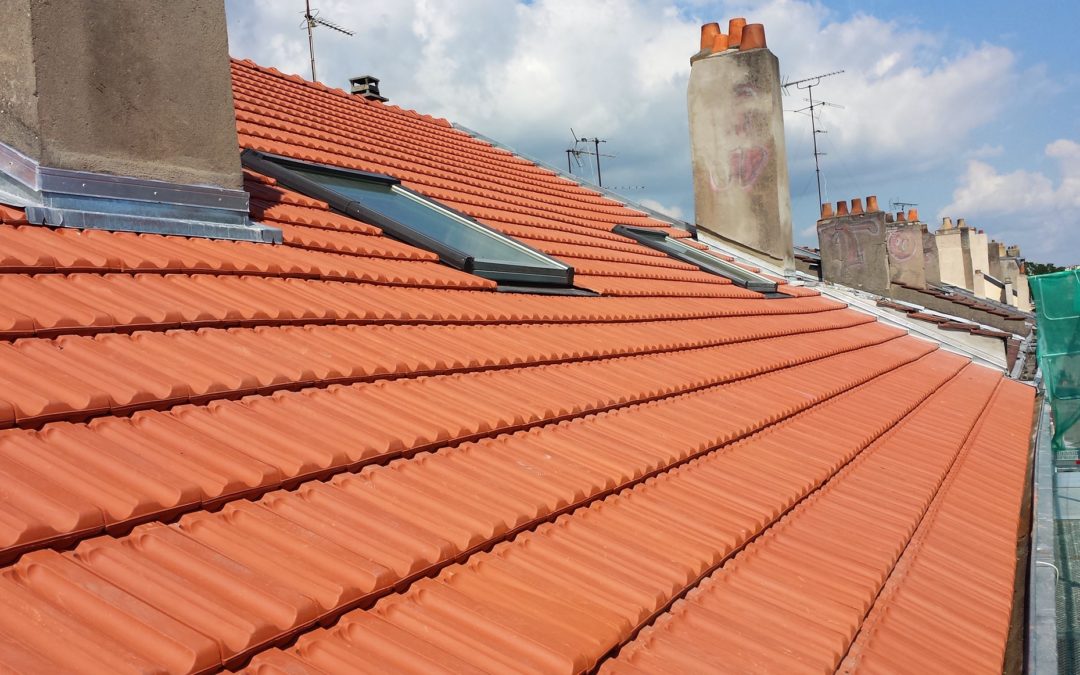 Photo n° 1 de l'avis de Tristan.a fait le 02/11/2023 à 14:47