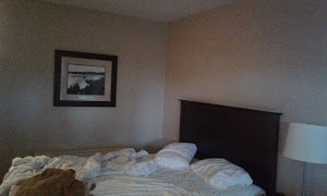 Skyline Hotel & Waterpark - photo 51