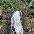 Waimea Botanical Garden