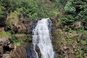 Waimea Botanical Garden