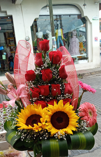 Florería Doña Martha – Tejupilco de Hidalgo