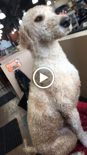 Pet Store «Pet Valu», reviews and photos, 225 Allwood Rd, Clifton, NJ 07012, USA