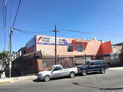 Empresas de fumigación en Guadalajara