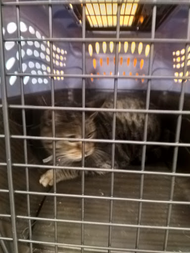 Pet Supply Store «PetSmart», reviews and photos, 3010 Brandywine Pkwy, Wilmington, DE 19803, USA