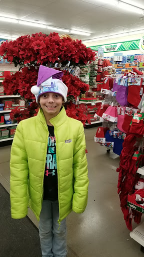 Dollar Store «Dollar Tree», reviews and photos, 389 Grand Valley Blvd, Martinsville, IN 46151, USA