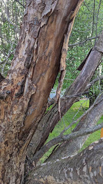 Airetech Sales Service and Refrigeration - Photo 5 - Car repair in Hampton, TN, Johnson City