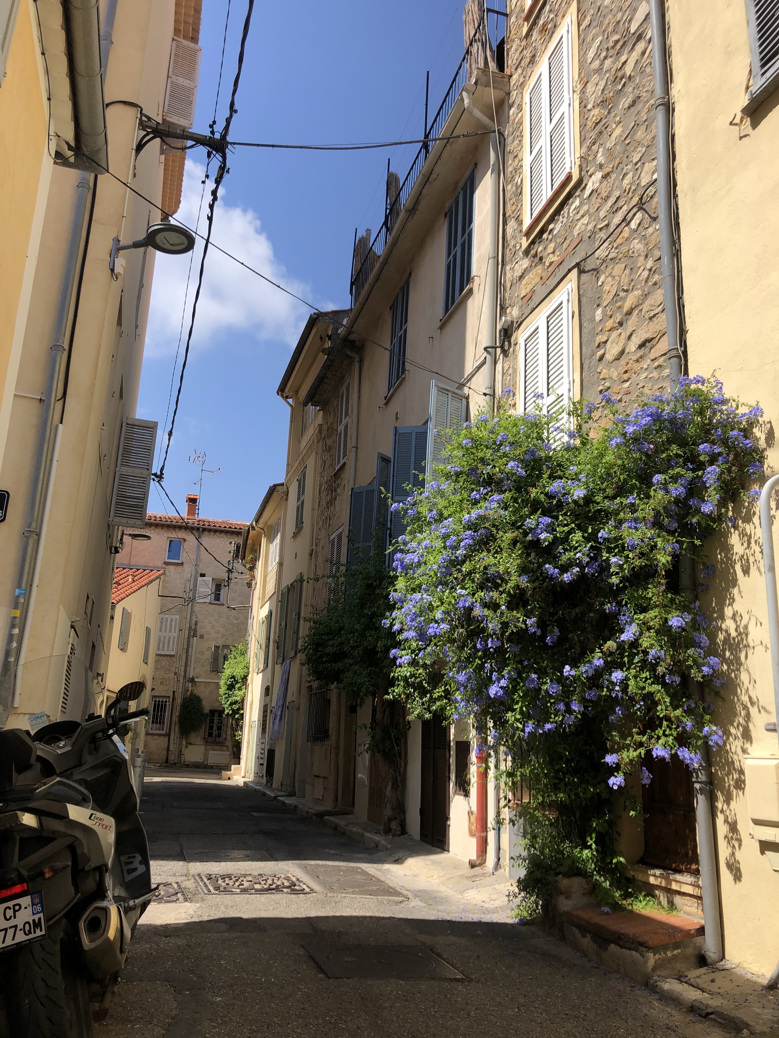 Photo n° 2 de l'avis de Janice.g fait le 31/08/2020 à 14:06