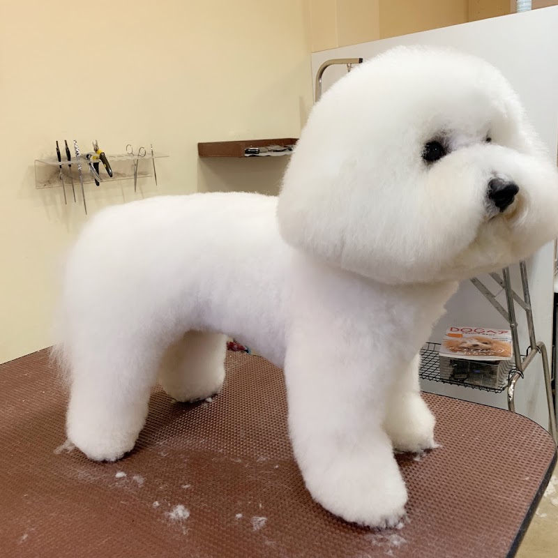 Newtown Sakura la Dog Grooming Salon