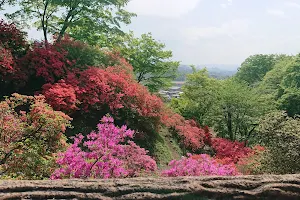 Miyazaki Park image