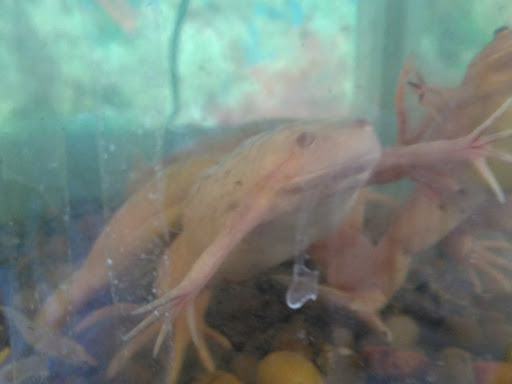 Pet Supply Store «Pet Partners», reviews and photos, 1962 W State St, Bristol, TN 37620, USA