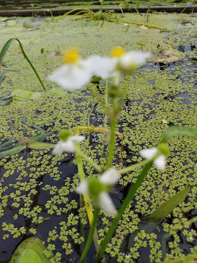 Tropical Fish Store «William Tricker Inc», reviews and photos, 7125 Tanglewood Dr, Cleveland, OH 44131, USA