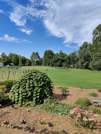 Wedding Venue «Natchez Hills Vineyard. Middle Tennessee Wedding Venue», reviews and photos, 109 Overhead Bridge Rd, Hampshire, TN 38461, USA