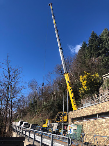 A.S.M. SOLLEVAMENTI TRASPORTI SCAVI SAGL - Bellinzona