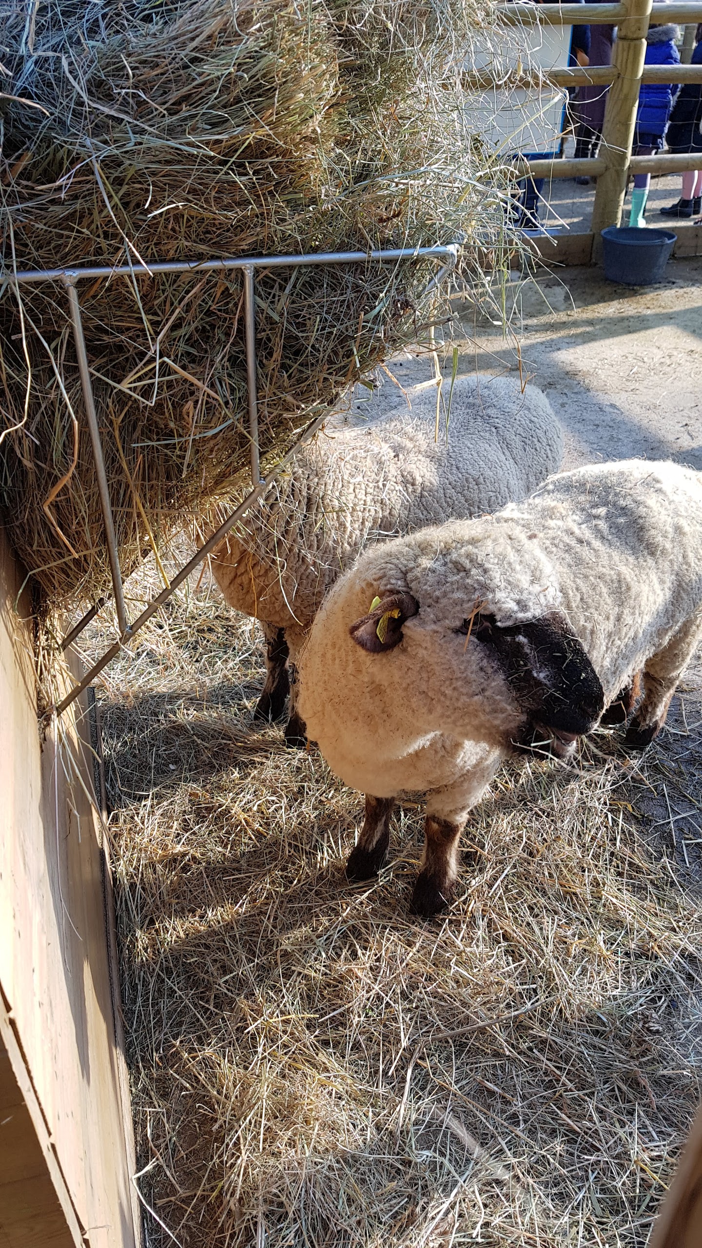 Photo n° 1 de l'avis de Laurent.a fait le 19/02/2018 à 17:05