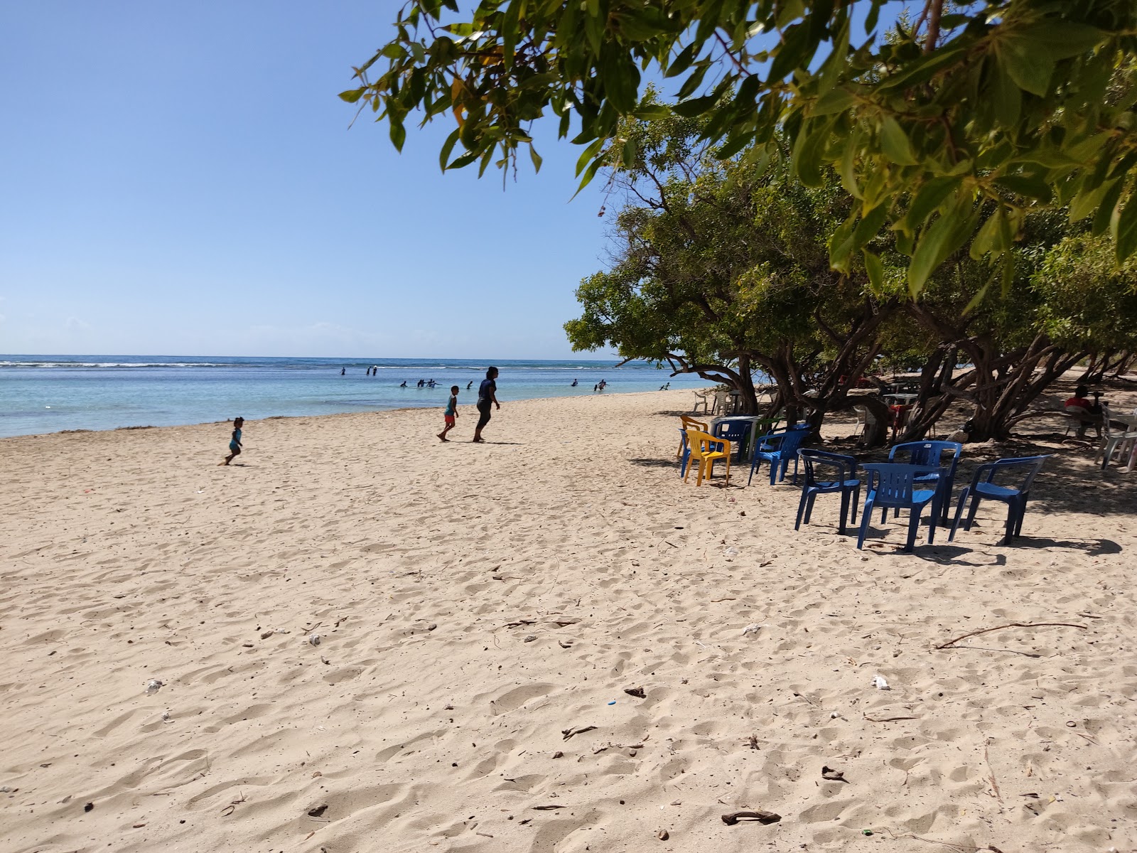 La Caobita beach'in fotoğrafı vahşi alan