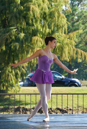 Dog Park «MacArthur Dog Park», reviews and photos, 601 E 9th St, Little Rock, AR 72202, USA