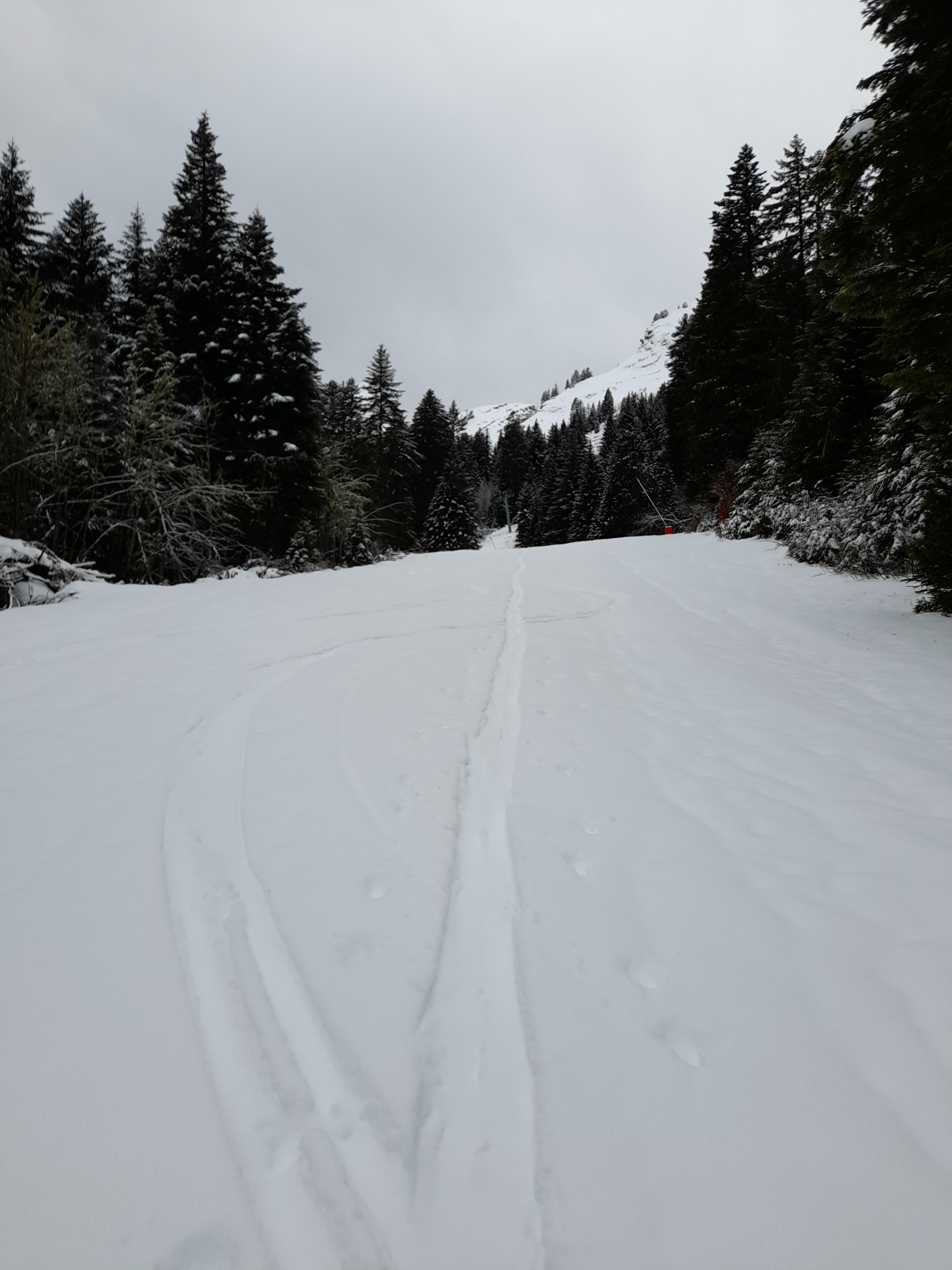 Photo n° 4 de l'avis de Roland.r fait le 12/01/2023 à 16:43