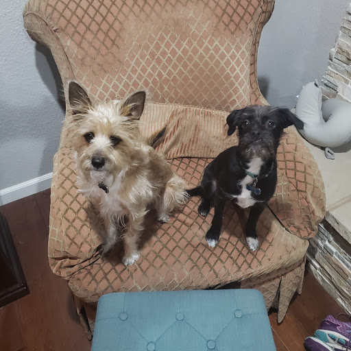 Pet Supply Store «Pet Food Express», reviews and photos, 5829 Lone Tree Way, Antioch, CA 94531, USA