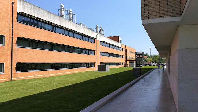 Complexo Pedagógico Universidade De Aveiro - Aveiro