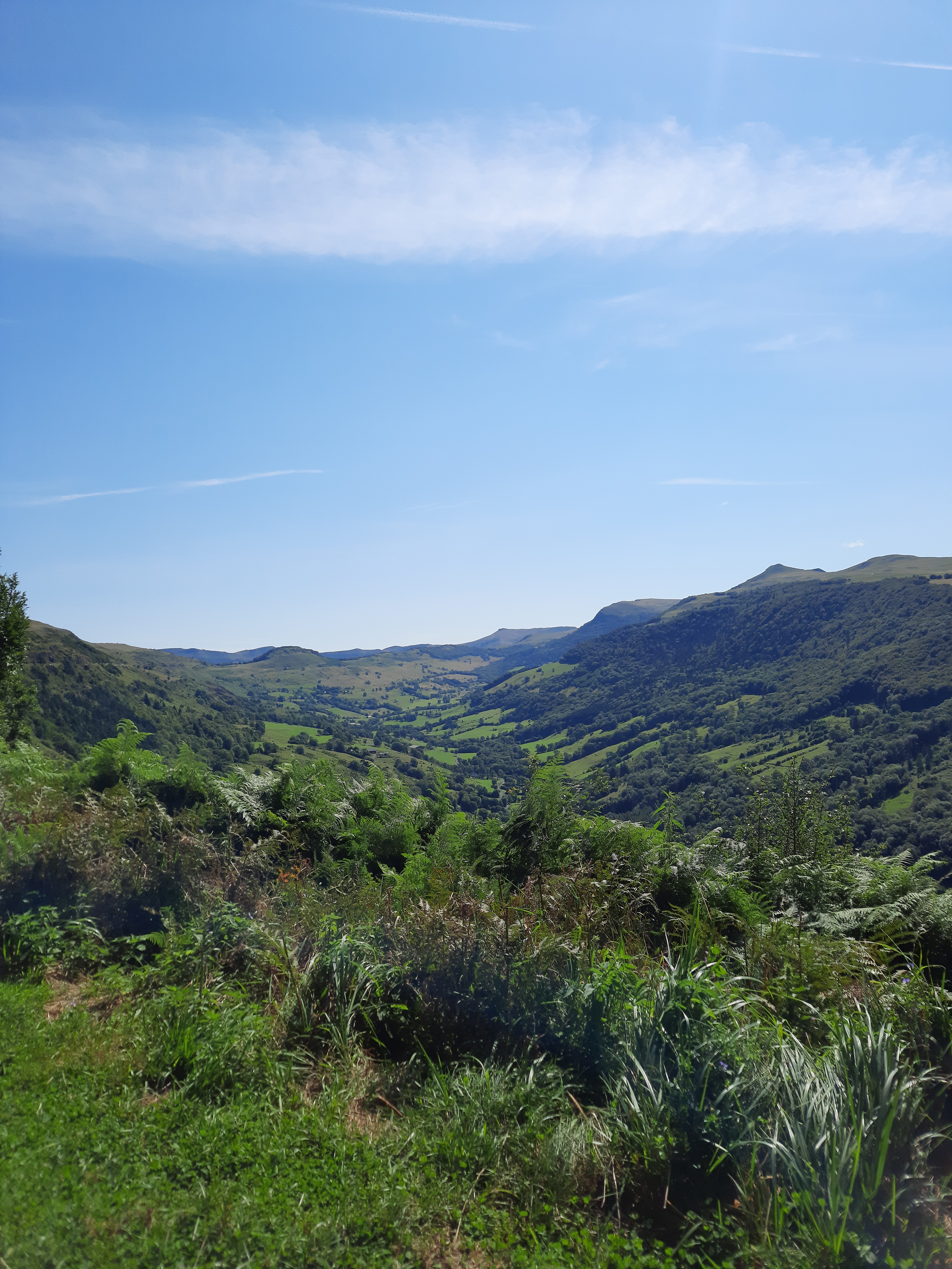 Photo n° 1 de l'avis de Maéva.e fait le 22/08/2023 à 10:49