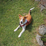 Photo n°5 de l'avis de Oli.k fait le 04/07/2020 à 18:26 sur le  Stögeralm à Schliersee