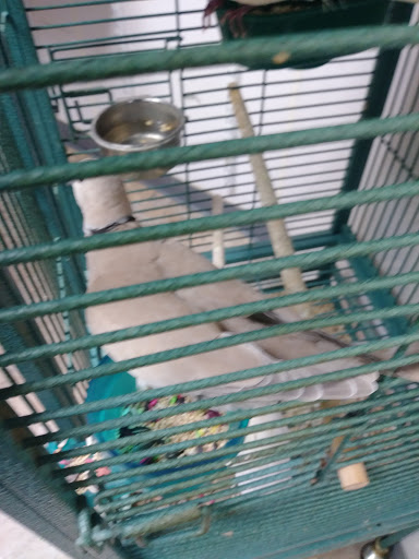 Pet Store «Feed-Rite Pet Supply», reviews and photos, 2979 Fort St, Lincoln Park, MI 48146, USA