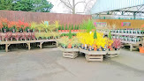 Billing Garden Store - Shaw Trust Garden Centre