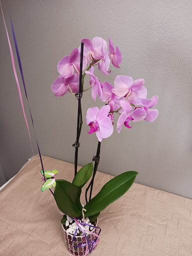 Florist «Treasures To Adore», reviews and photos, 1313 Carolyn Ct, Humble, TX 77338, USA