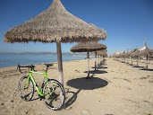 Cyclista Bicycle Holidays SL en Palma