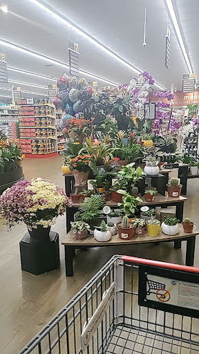 Stater Bros. Markets image