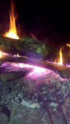 Photo n°37 de La Grillade Au Bois à Camps-sur-l'Isle ()