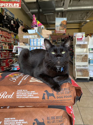Pet Store «Waggin Tails Pet Supplies», reviews and photos, 32160 Dyer St, Union City, CA 94587, USA