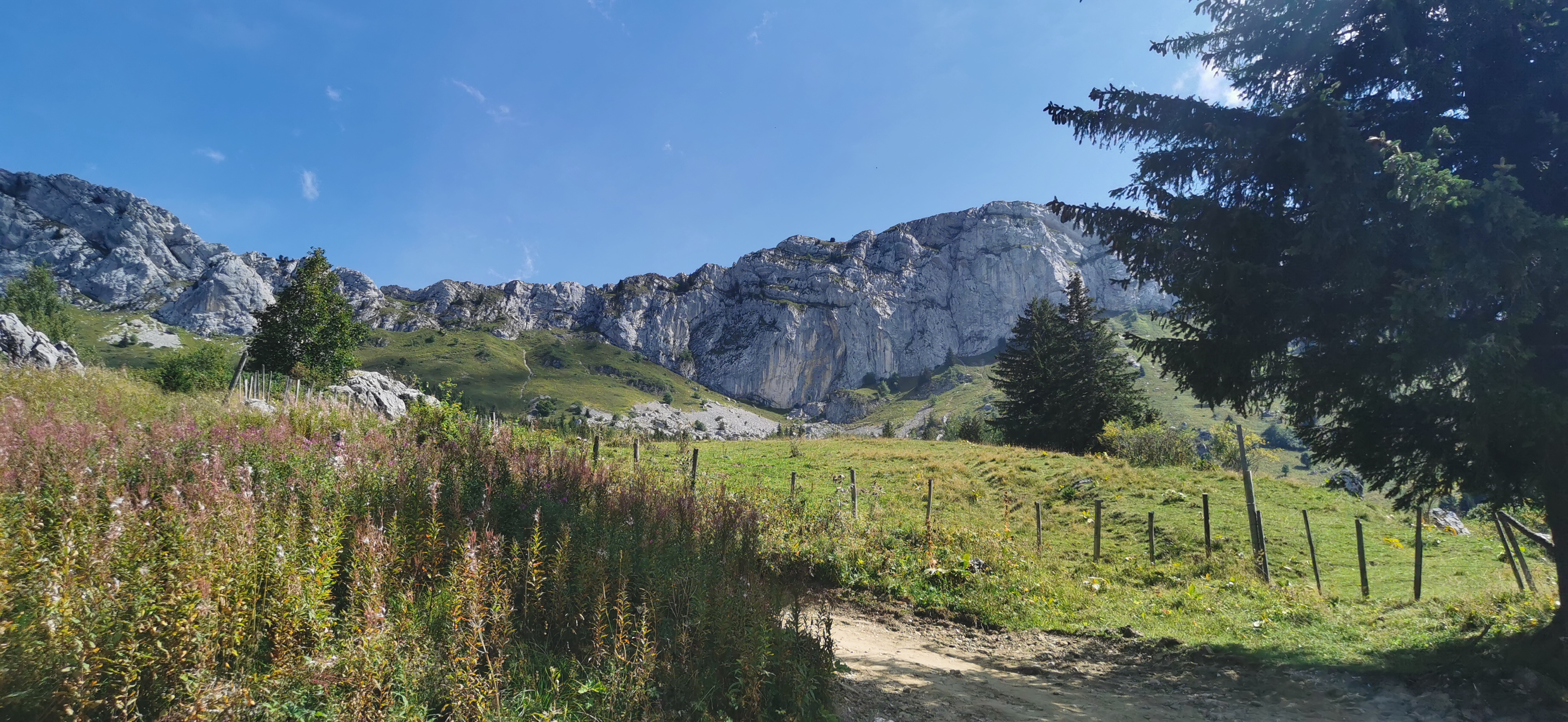 Photo n° 1 de l'avis de Éric.e fait le 30/10/2021 à 12:07