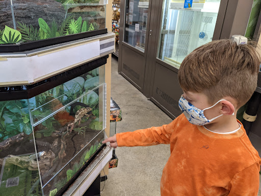 Pet Supply Store «Petco Animal Supplies», reviews and photos, 664 New Loudon Rd #240, Latham, NY 12110, USA