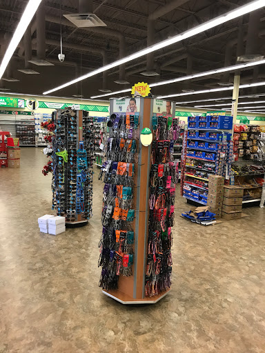 Dollar Store «Dollar Tree», reviews and photos, 6205 Coit Rd #200, Plano, TX 75024, USA