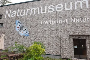 Naturmuseum Salzkammergut | Naturwelten image