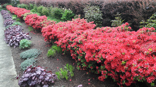 Park «Kerry Park», reviews and photos, 211 W Highland Dr, Seattle, WA 98119, USA